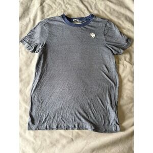 Abercrombie & Fitch Muscle Fit T-Shirt Mens Large Blue Grey Striped Moose Logo